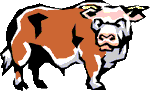 Da Bull