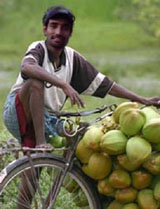 Robin Uthappa
